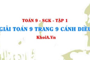 Giải Toán 9 trang 9 Cánh Diều Tập 1